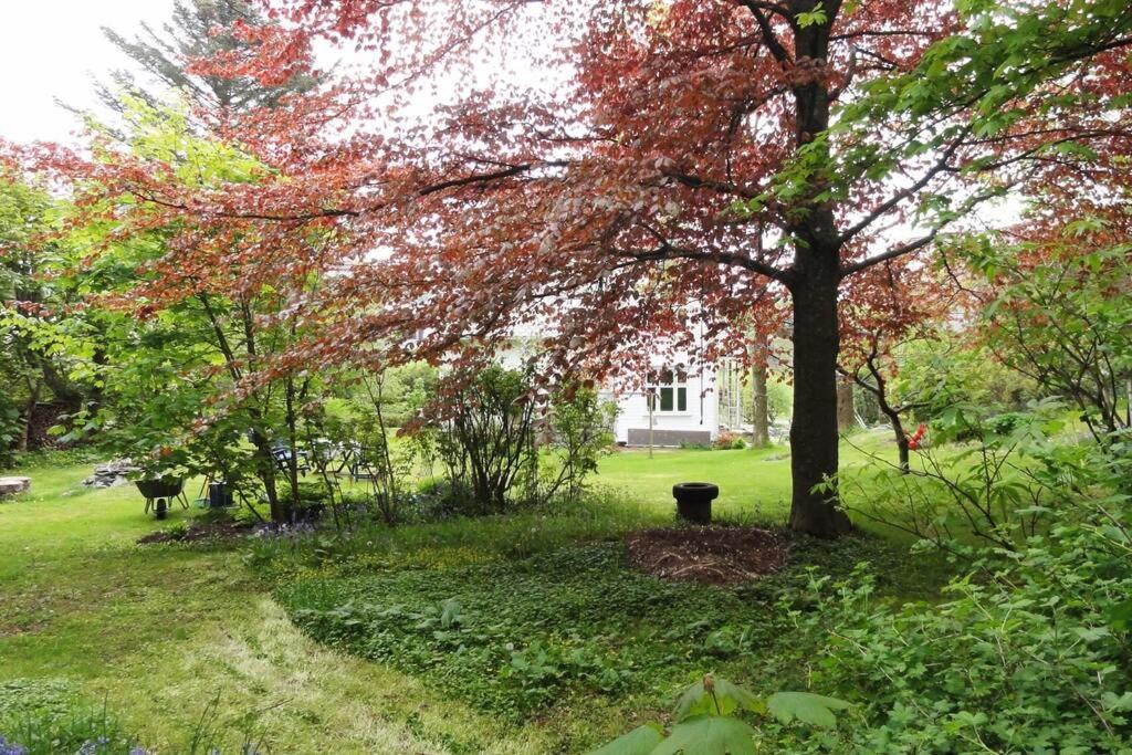 Charming Flat In Cosy Farmhouse Skudeneshavn Exterior photo